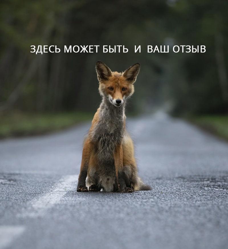 Дмитрий на фоне Танцующего леса